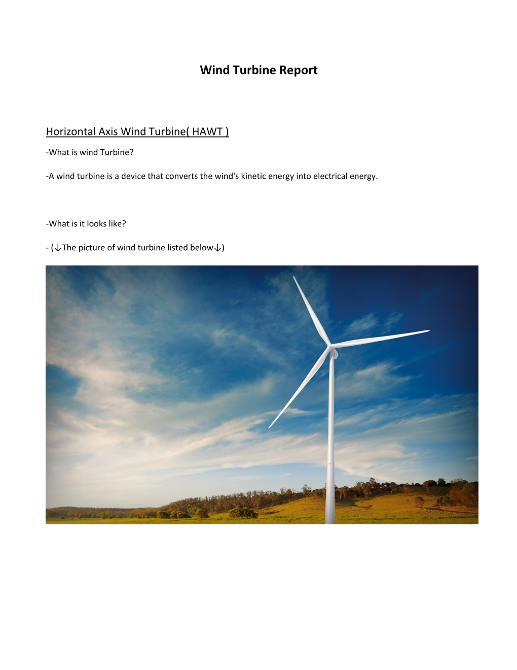 Wind Turbine Report