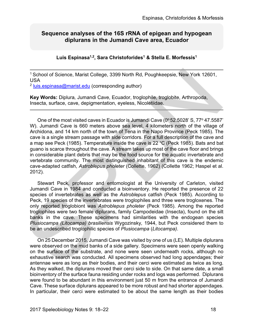 Sequence Analyses of the 16S Rrna of Epigean and Hypogean Diplurans in the Jumandi Cave Area, Ecuador