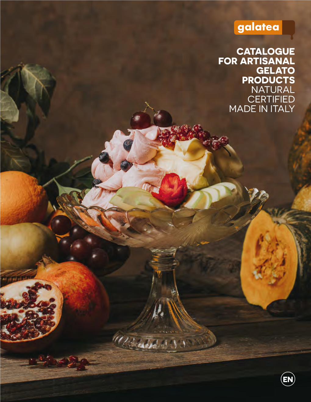 Catalogue for Artisanal Gelato Products Natural Certified Made in Italy