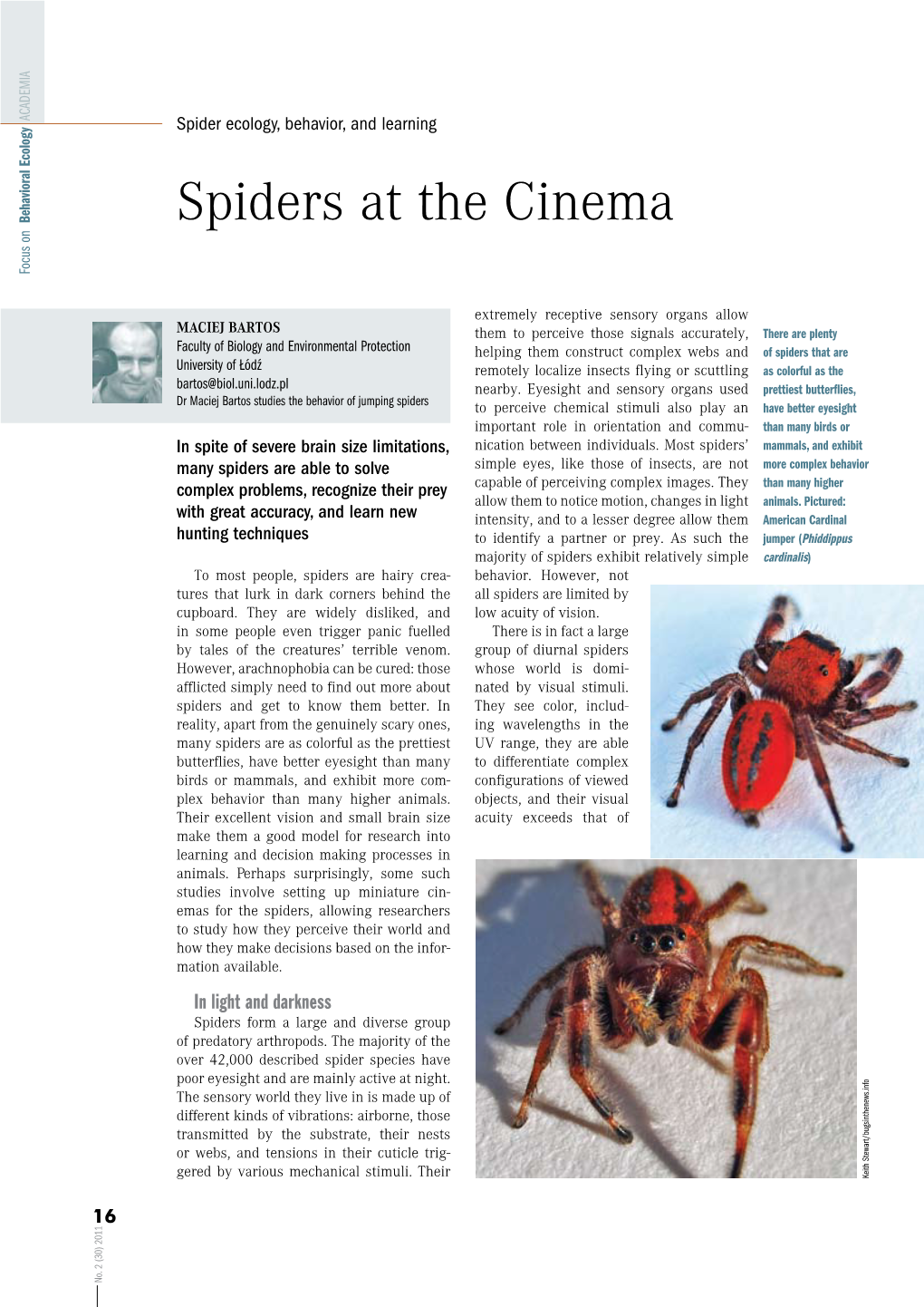 Spiders at the Cinema