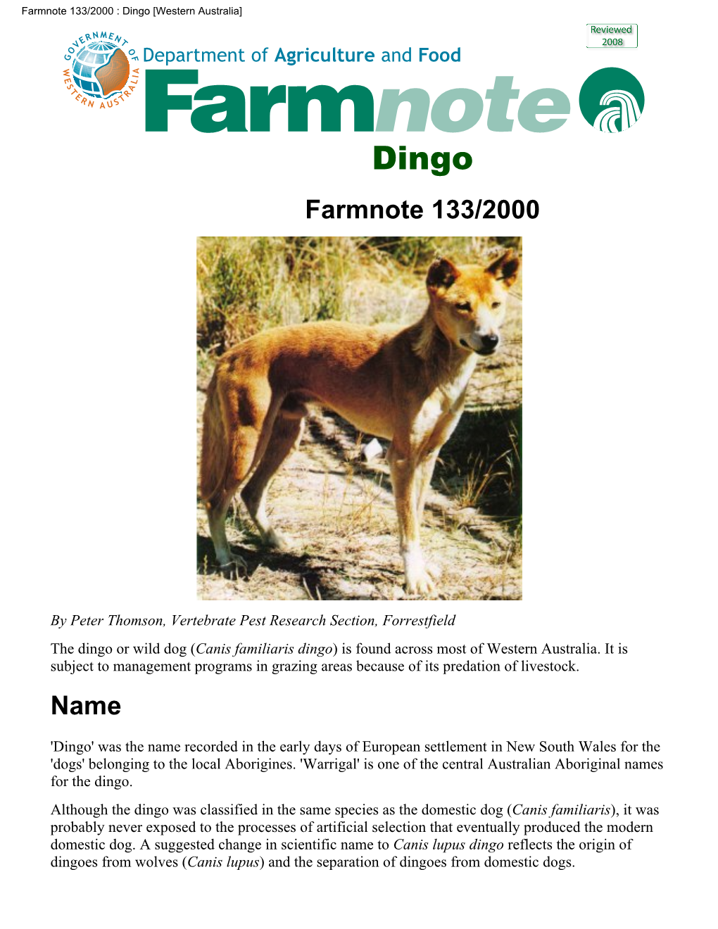 Dingo [Western Australia]