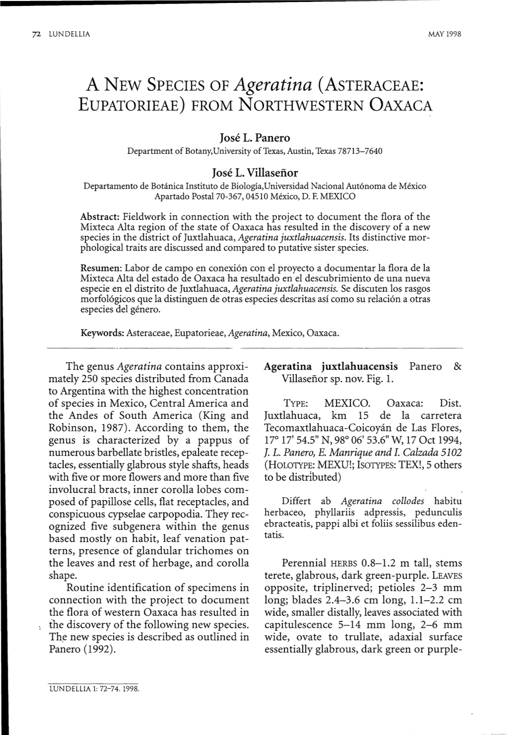 A NEW SPECIES of Ageratina (ASTERACEAE: EUPATORIEAE) from NORTHWESTERN OAXACA