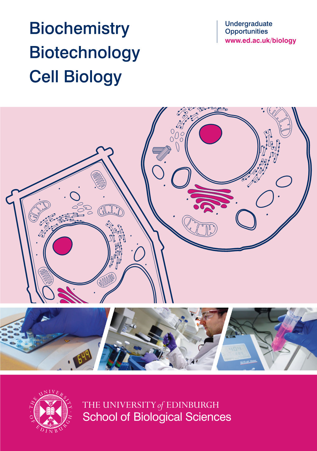 Biochemistry Biotechnology Cell Biology