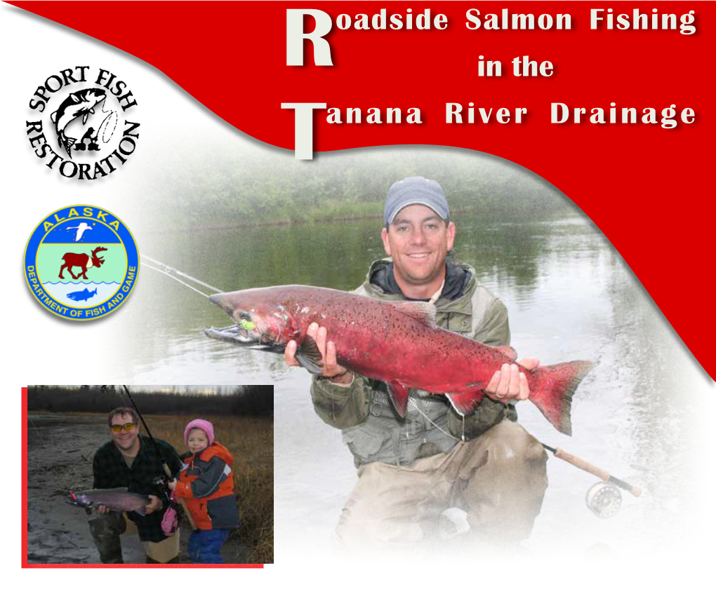 Roadside Salmon Fishing in the Tanana River Drainage