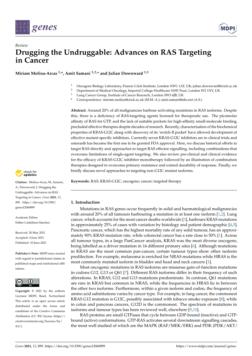 Drugging the Undruggable: Advances on RAS Targeting in Cancer