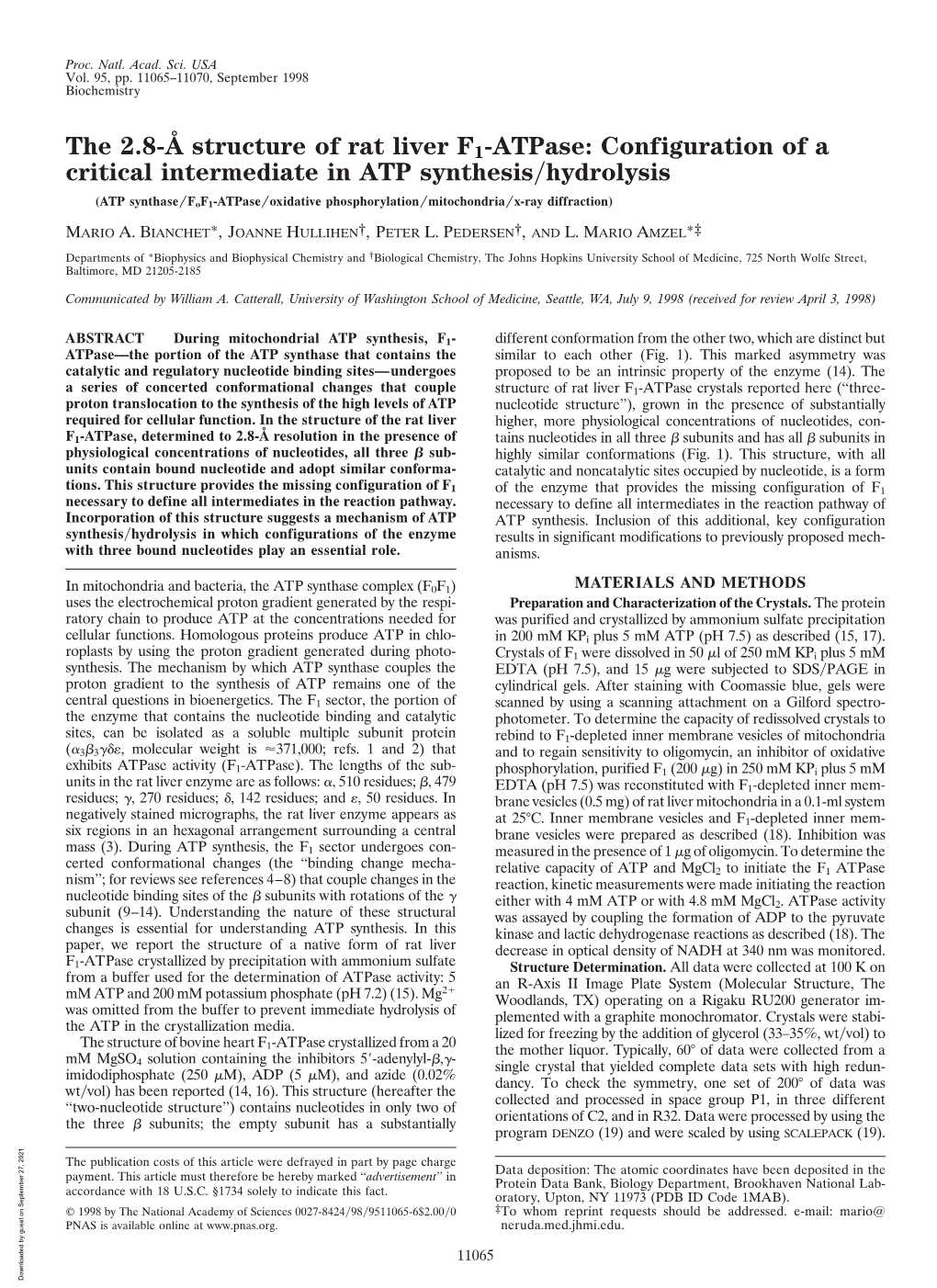 The 2.8-Å Structure of Rat Liver F1-Atpase: Configuration of a Critical Intermediate in ATP Synthesis/Hydrolysis