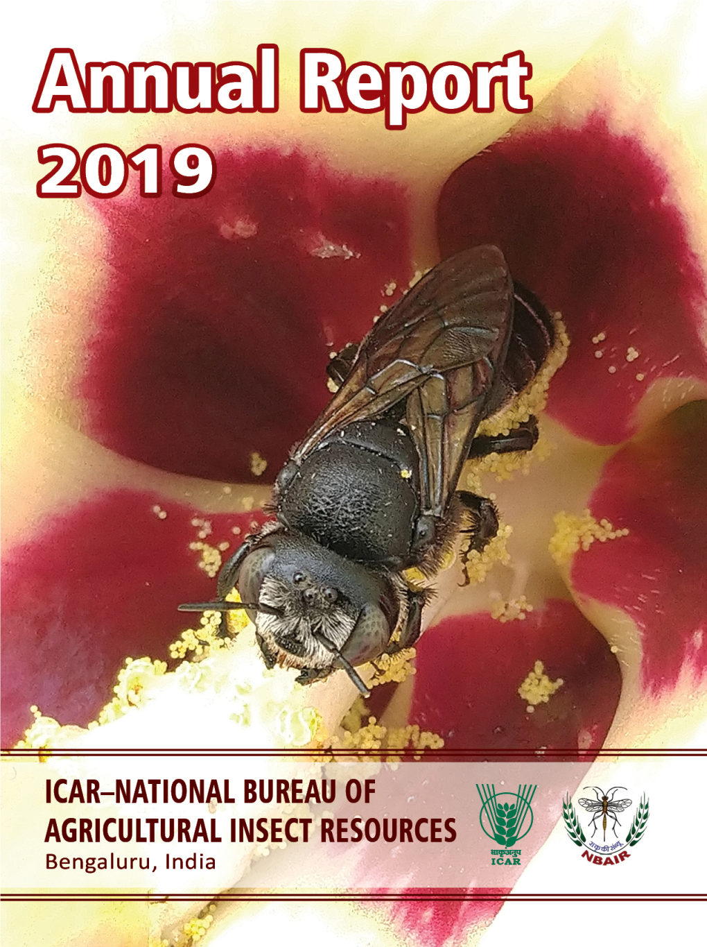 ICAR–NBAIR Annual Report 2019.Pdf