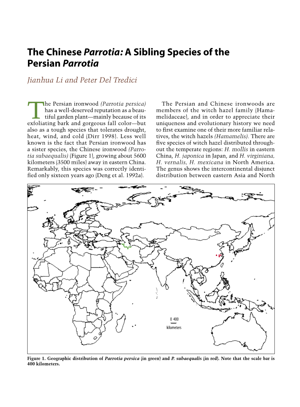 A Sibling Species of the Persian Parrotia