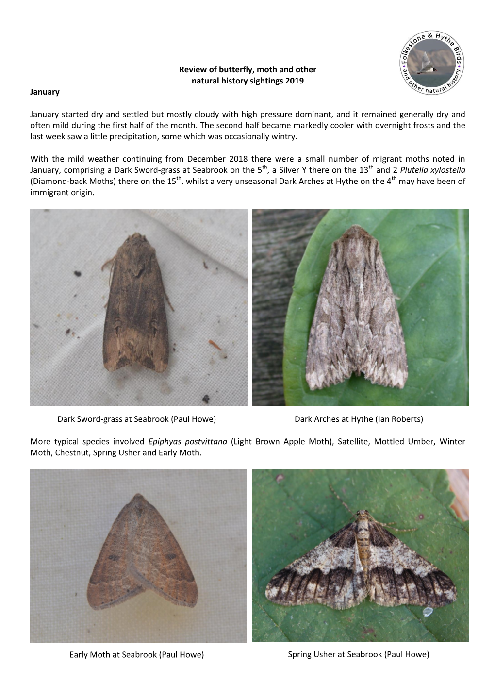 January Review of Butterfly, Moth and Other Natural History Sightings 2019