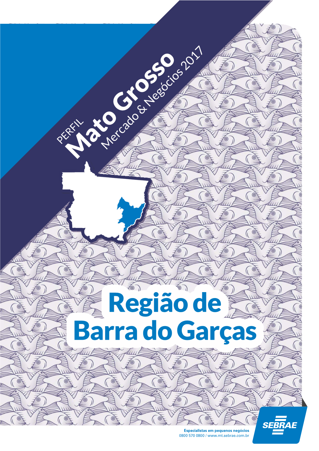 Barra Do Garças Extensão Territorial 98.745,30 Km2