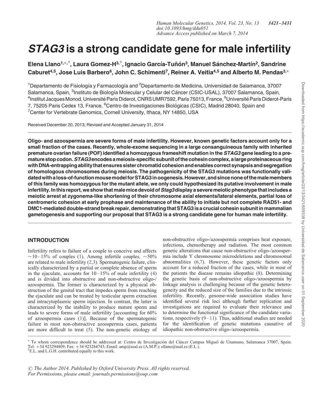 STAG3 Is a Strong Candidate Gene for Male Infertility