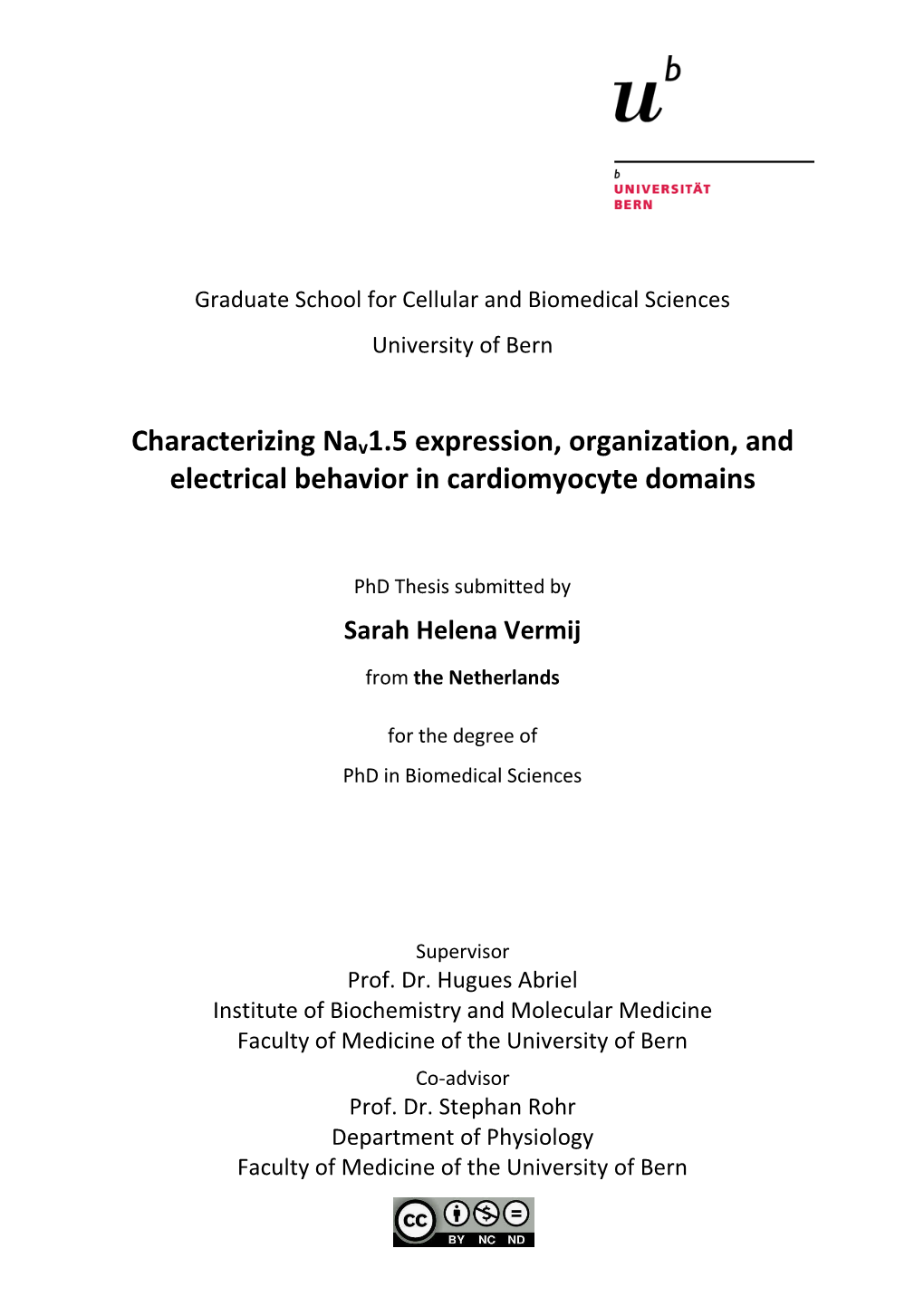 Characterizing Nav1.5 Expression, Organization, and Electrical Behavior in Cardiomyocyte Domains