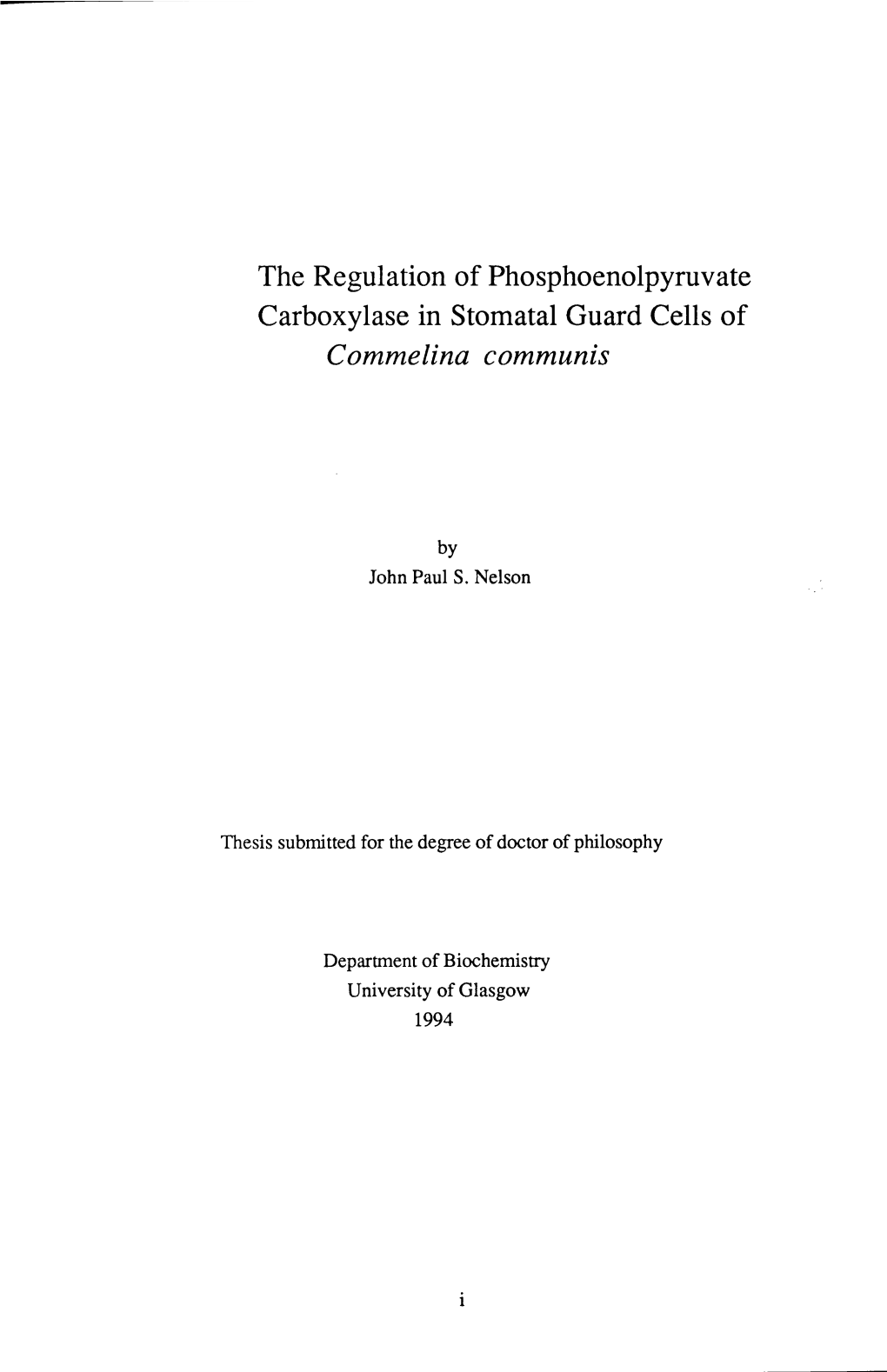 The Regulation of Phosphoenolpyruvate Carboxylase in Stomatal Guard Cells of Commelina Communis