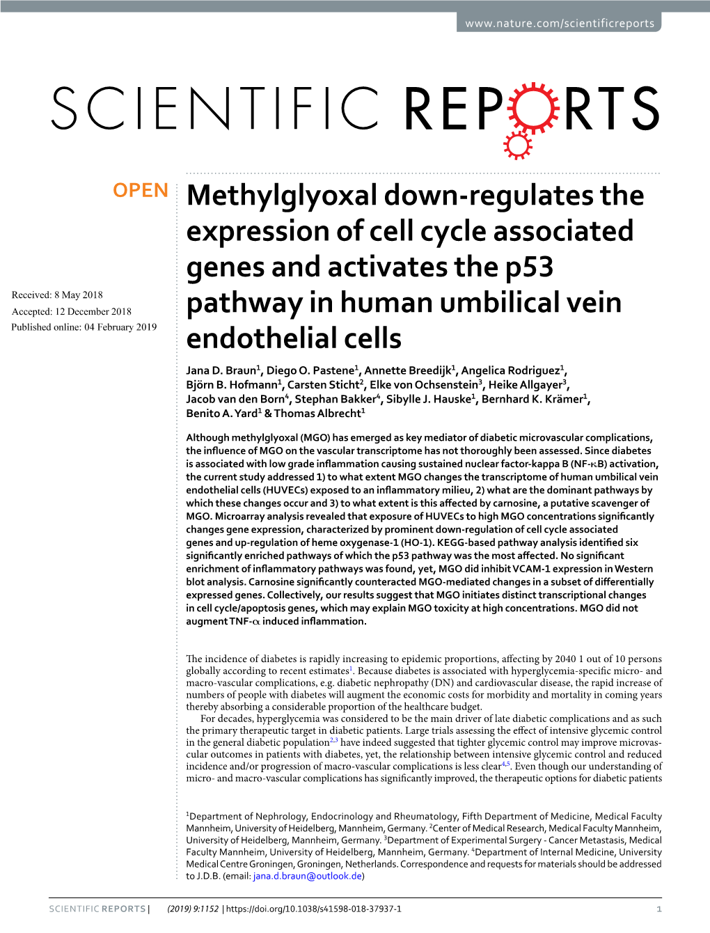 Methylglyoxal Down-Regulates the Expression of Cell Cycle Associated