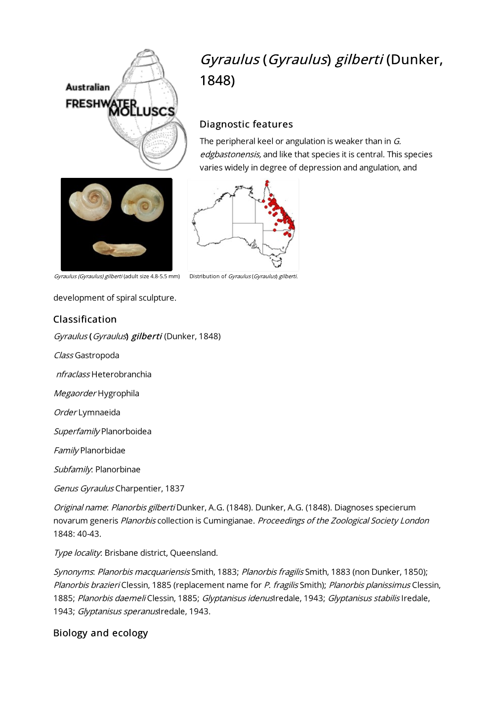 Gyraulus) Gilberti (Dunker, 1848