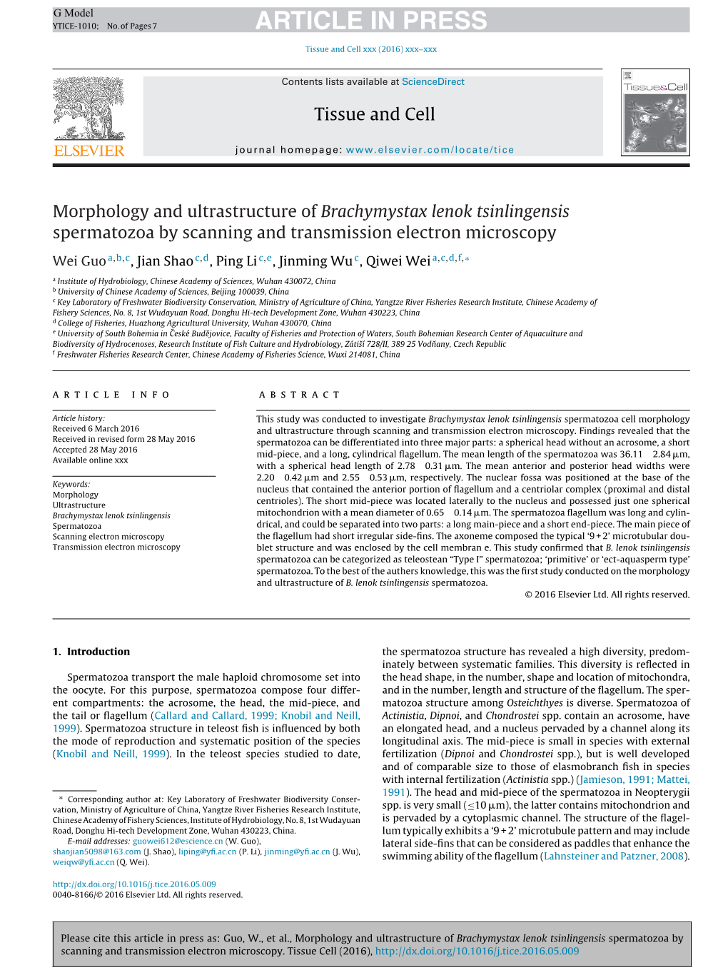 Morphology and Ultrastructure of Brachymystax Lenok Tsinlingensis