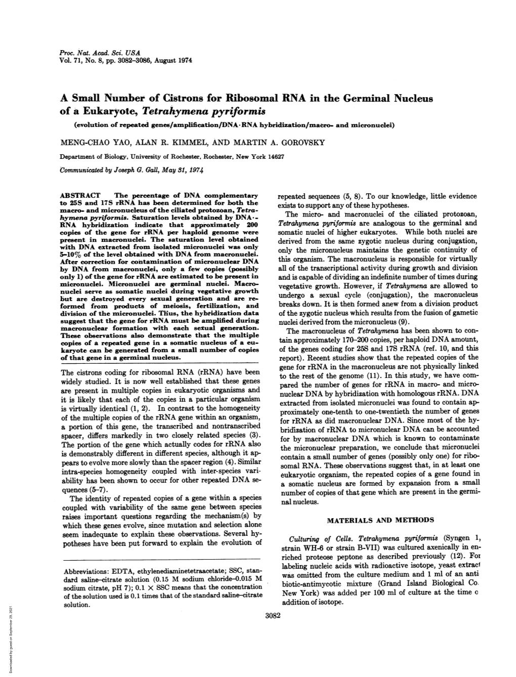 Of a Eukaryote, Tetrahymena Pyriformis (Evolution of Repeated Genes/Amplification/DNA RNA Hybridization/Maero- and Micronuclei) MENG-CHAO YAO, ALAN R