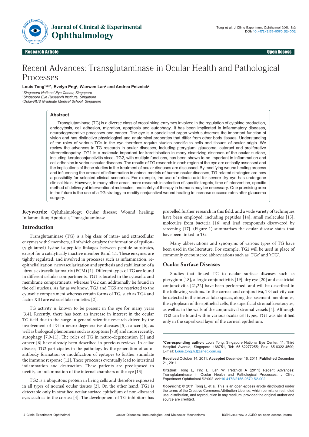 Transglutaminase in Ocular Health and Pathological Processes