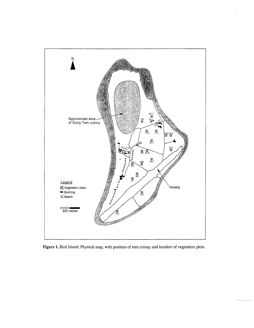 Figure 1. Bird Island: Physical Map, with Position of Tern Colony and Location of Vegetation Plots