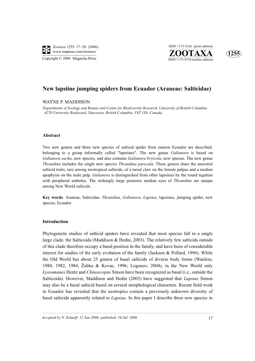 Zootaxa, New Lapsiine Jumping Spiders from Ecuador (Araneae