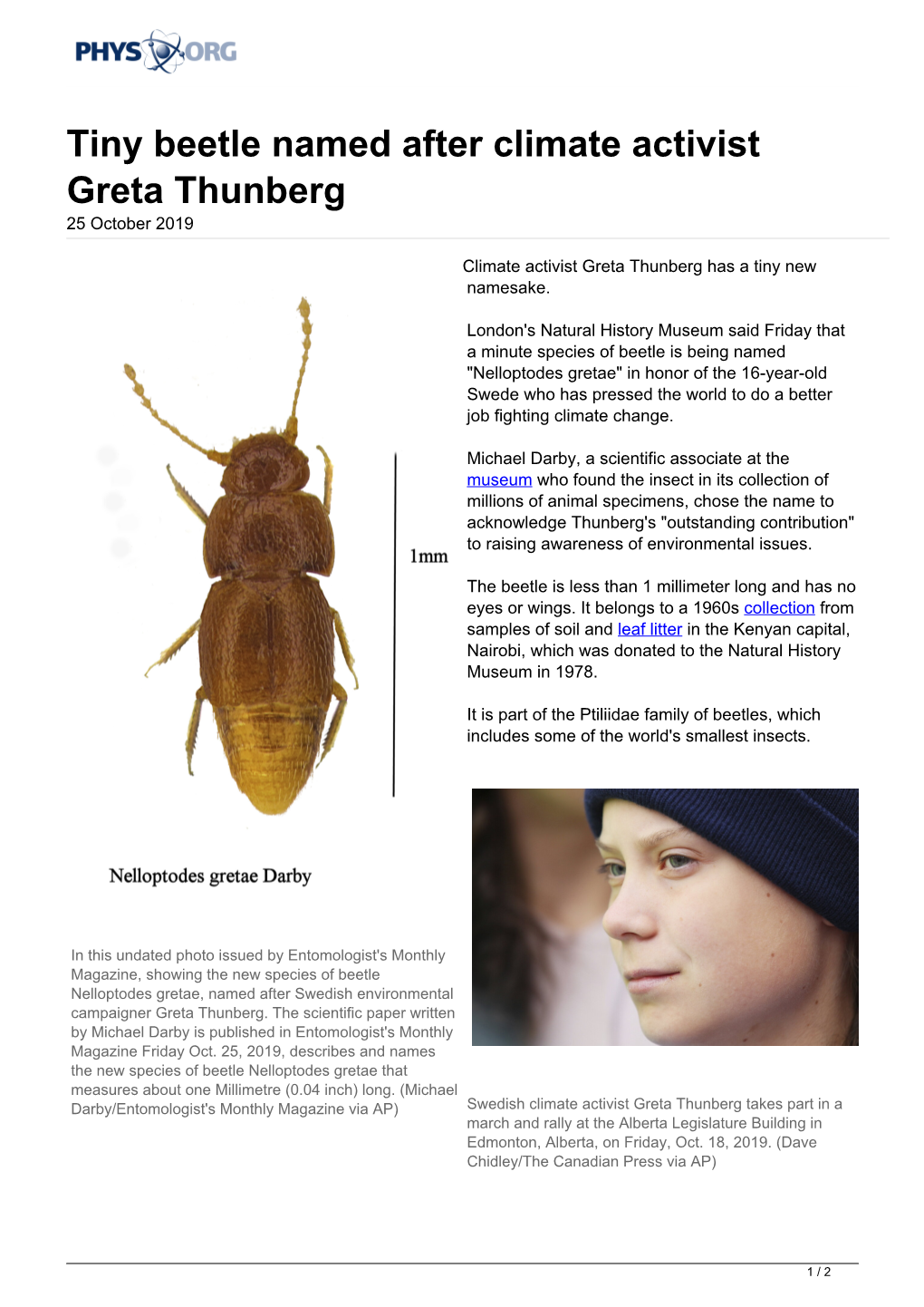 Tiny Beetle Named After Climate Activist Greta Thunberg 25 October 2019