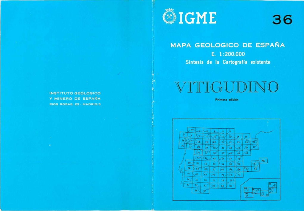 'Igm` Vitigudino