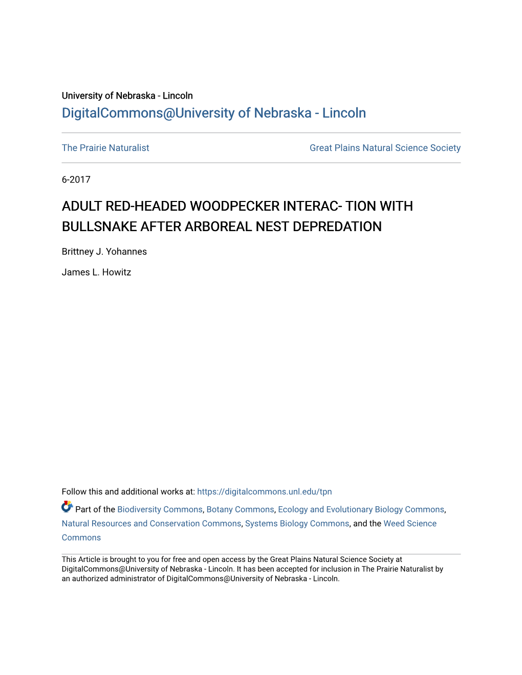 Adult Red-Headed Woodpecker Interac- Tion with Bullsnake After Arboreal Nest Depredation