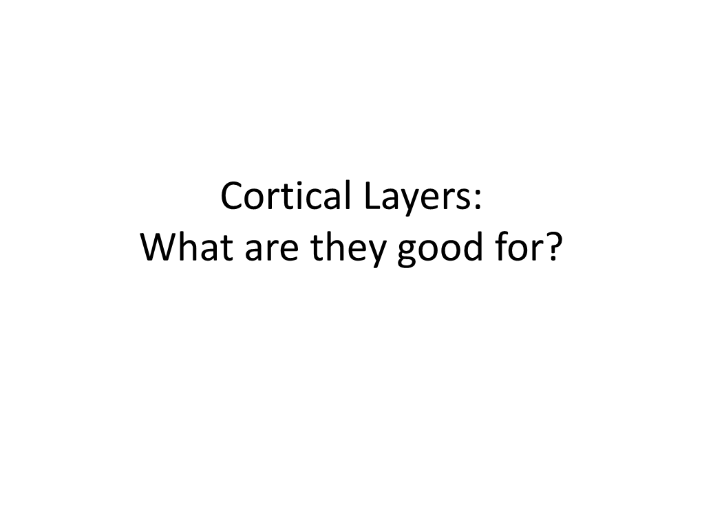 Cortical Layers: What Are They Good For? Neocortex