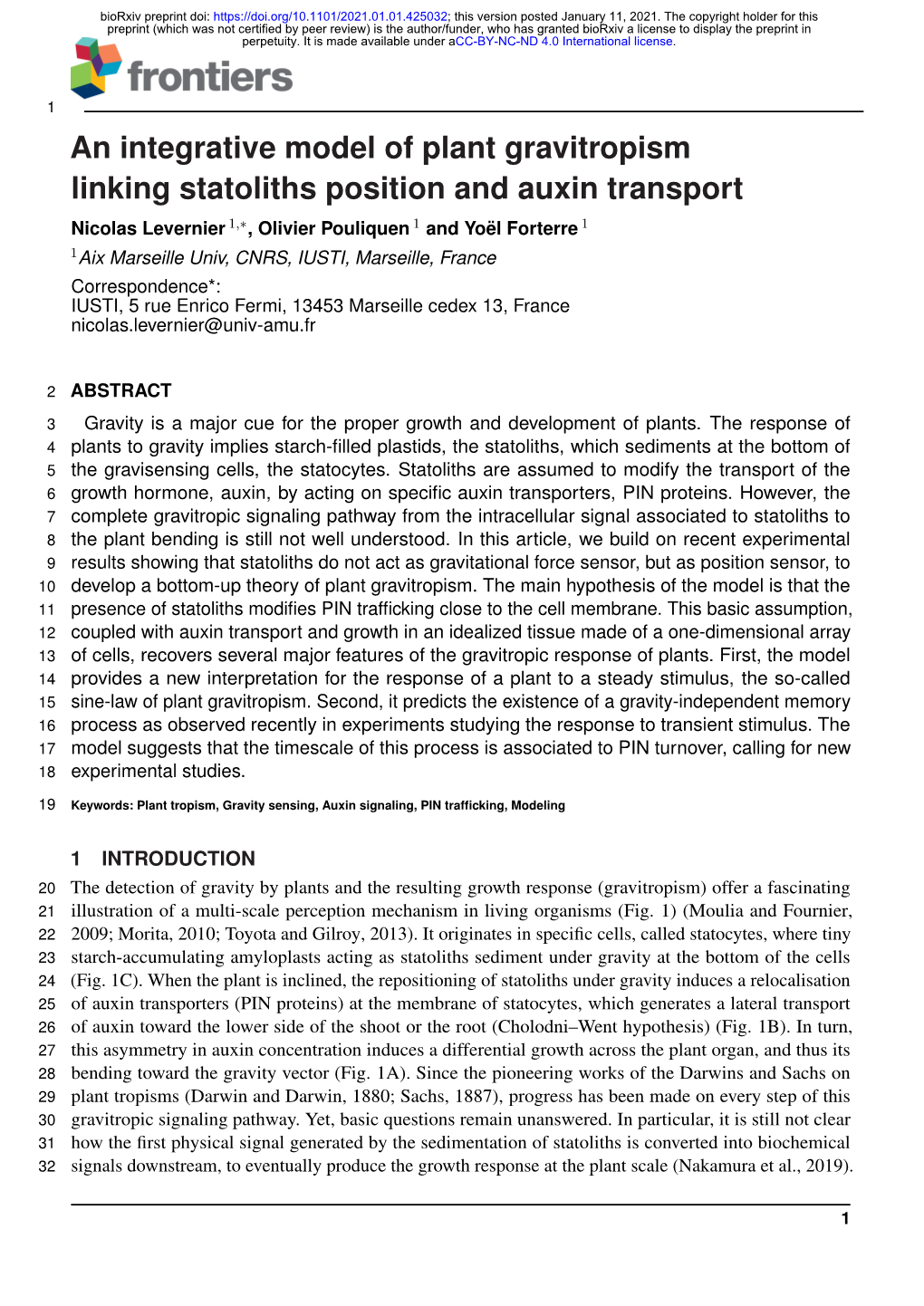 An Integrative Model of Plant Gravitropism Linking Statoliths