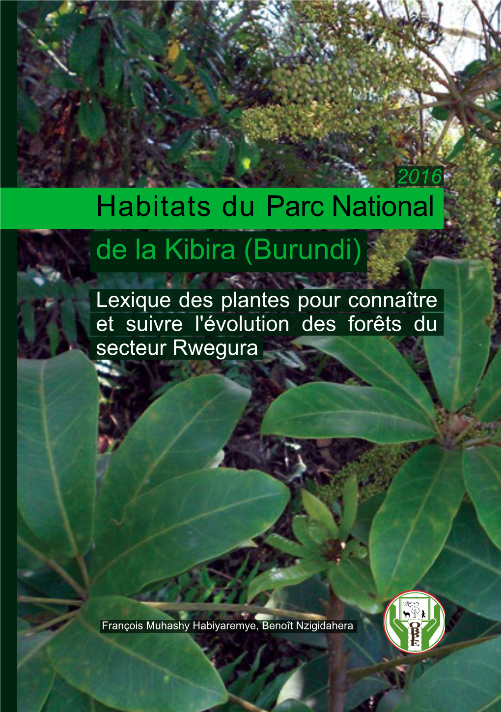 Habitats Du Parc National De La Kibira (Burundi)