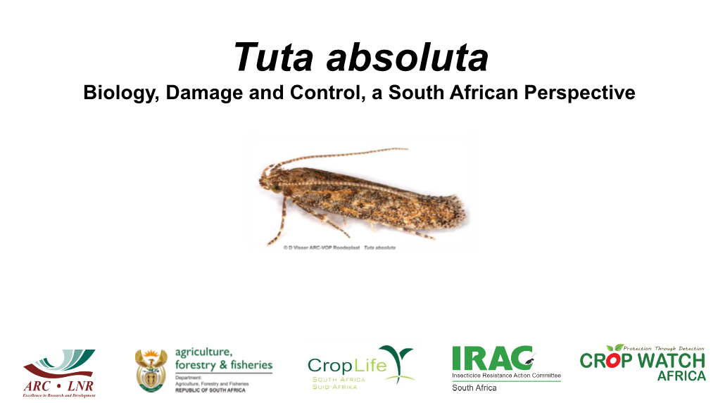 Tuta Absoluta Biology, Damage and Control, a South African Perspective Background