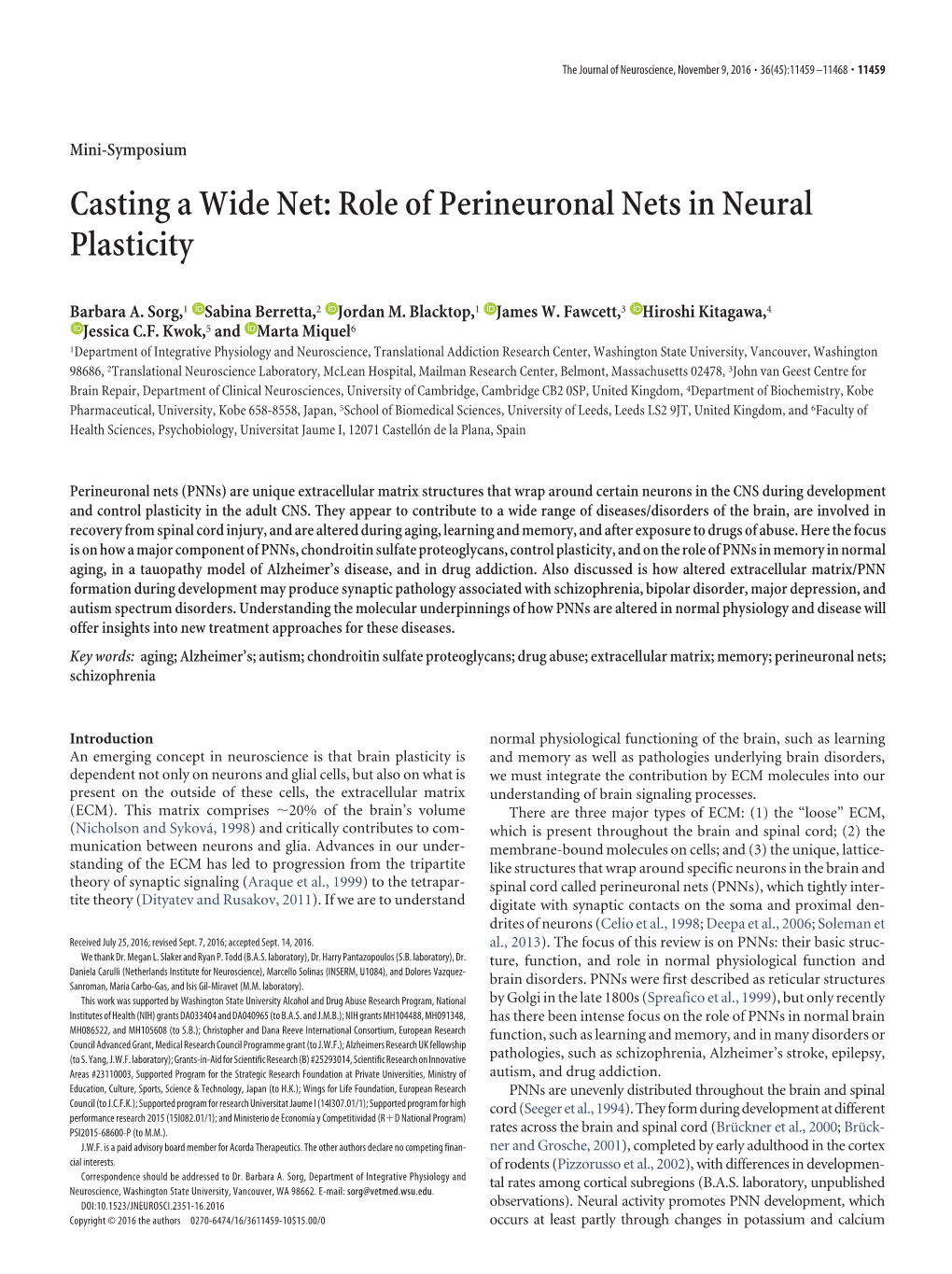 Role of Perineuronal Nets in Neural Plasticity