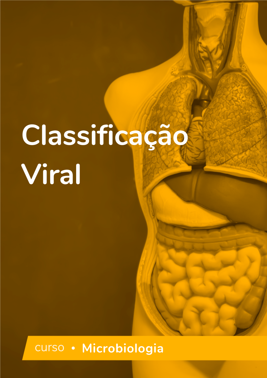 Classificação Viral