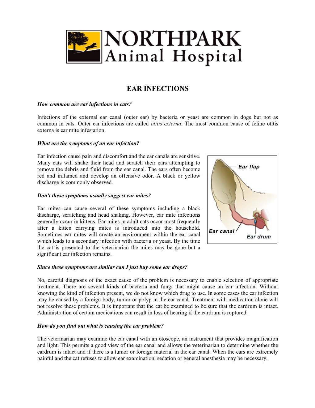 Ear Infections