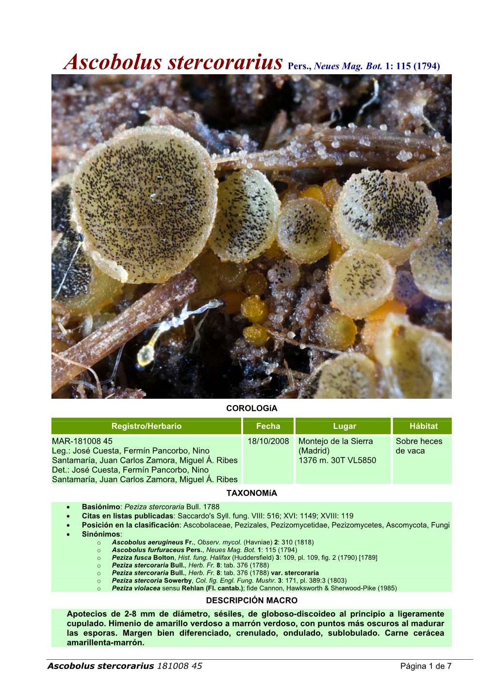 Ascobolus Stercorarius Pers., Neues Mag. Bot. 1: 115 (1794)