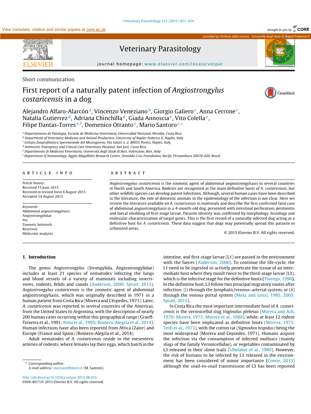 First Report of a Naturally Patent Infection of Angiostrongylus