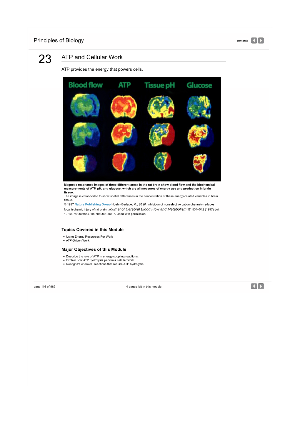 ATP and Cellular Work | Principles of Biology from Nature Education