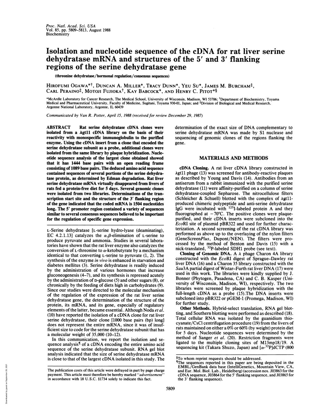 Isolation and Nucleotide Sequence of the Cdna for Rat Liver Serine