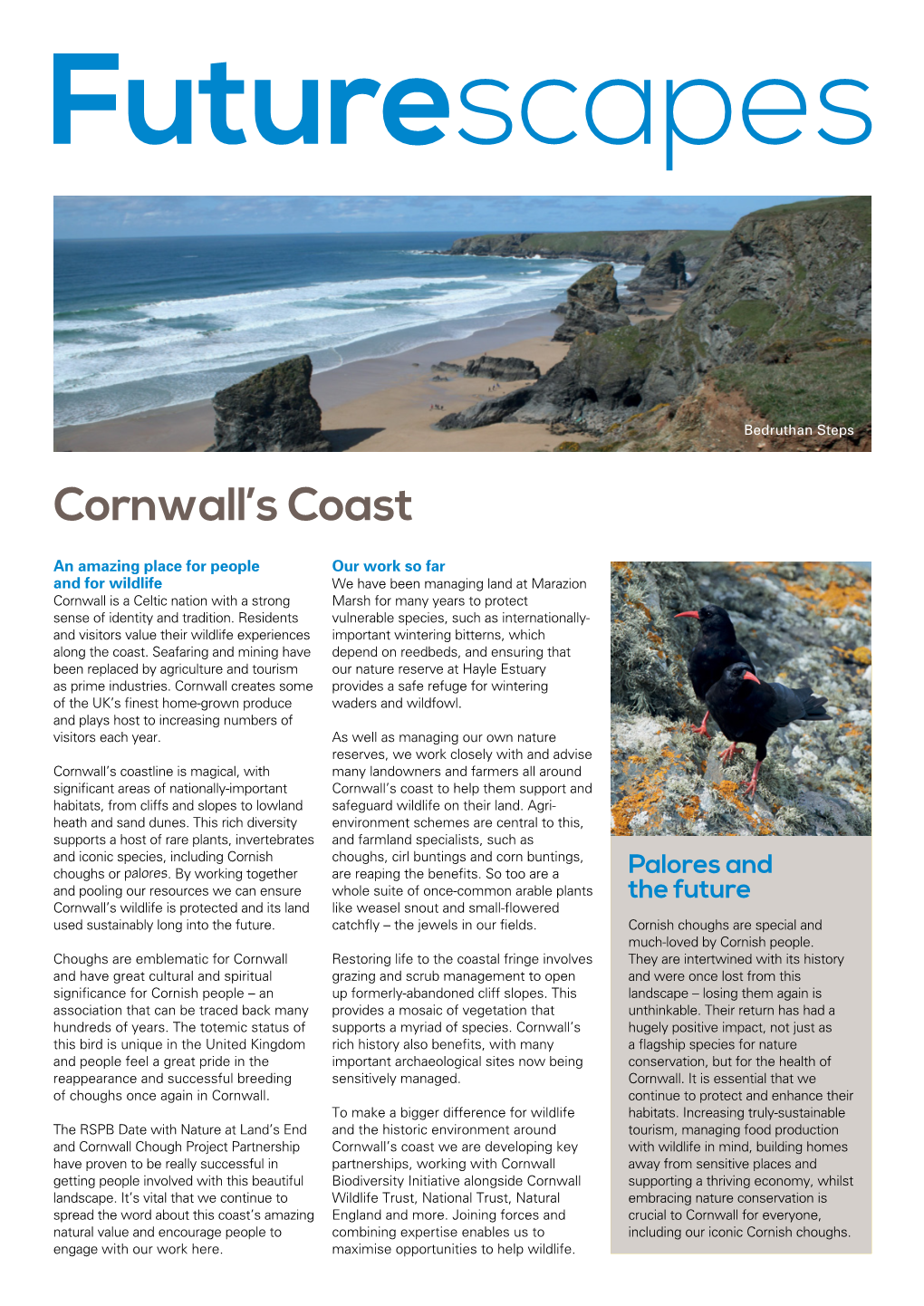 Cornwall's Coast