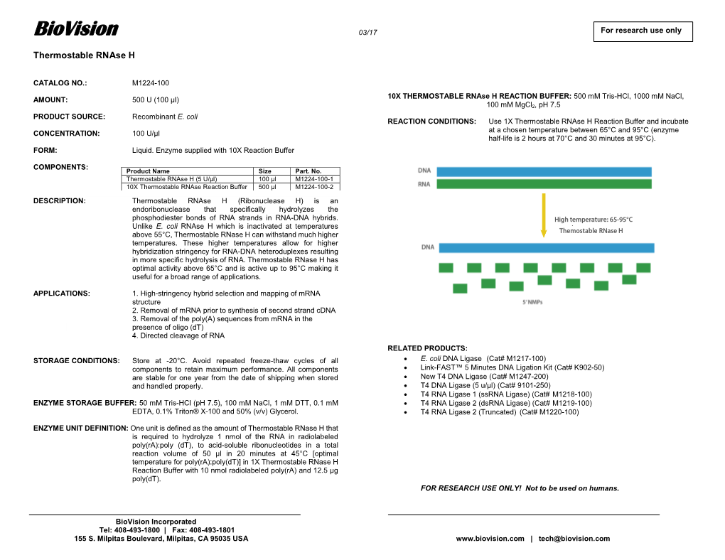 M1224-100 Thermostable Rnase H
