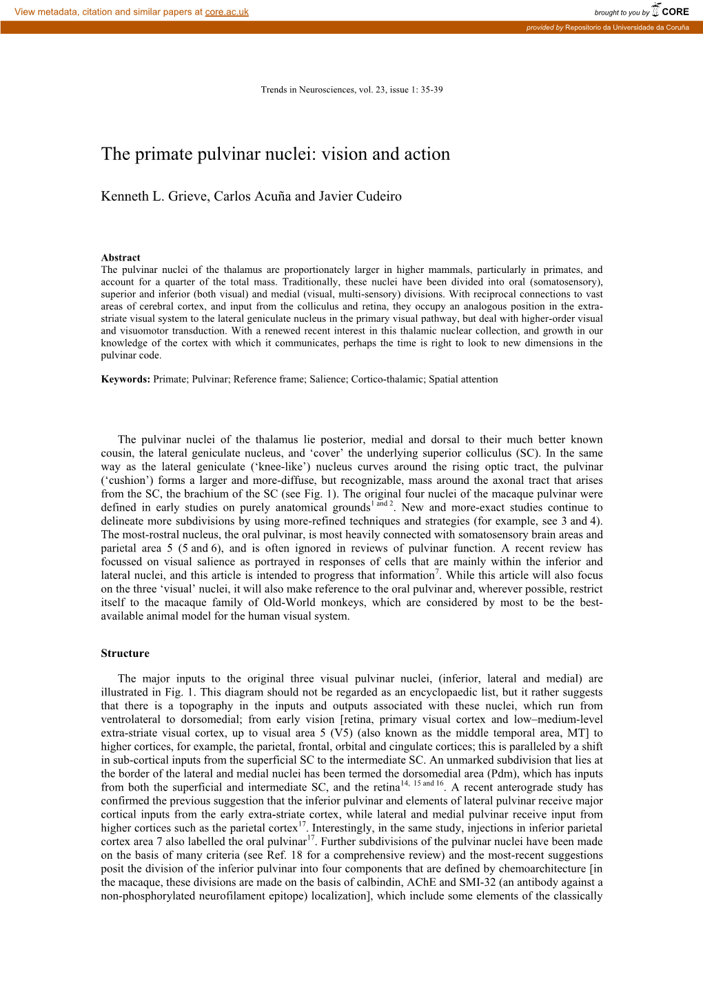 The Primate Pulvinar Nuclei: Vision and Action