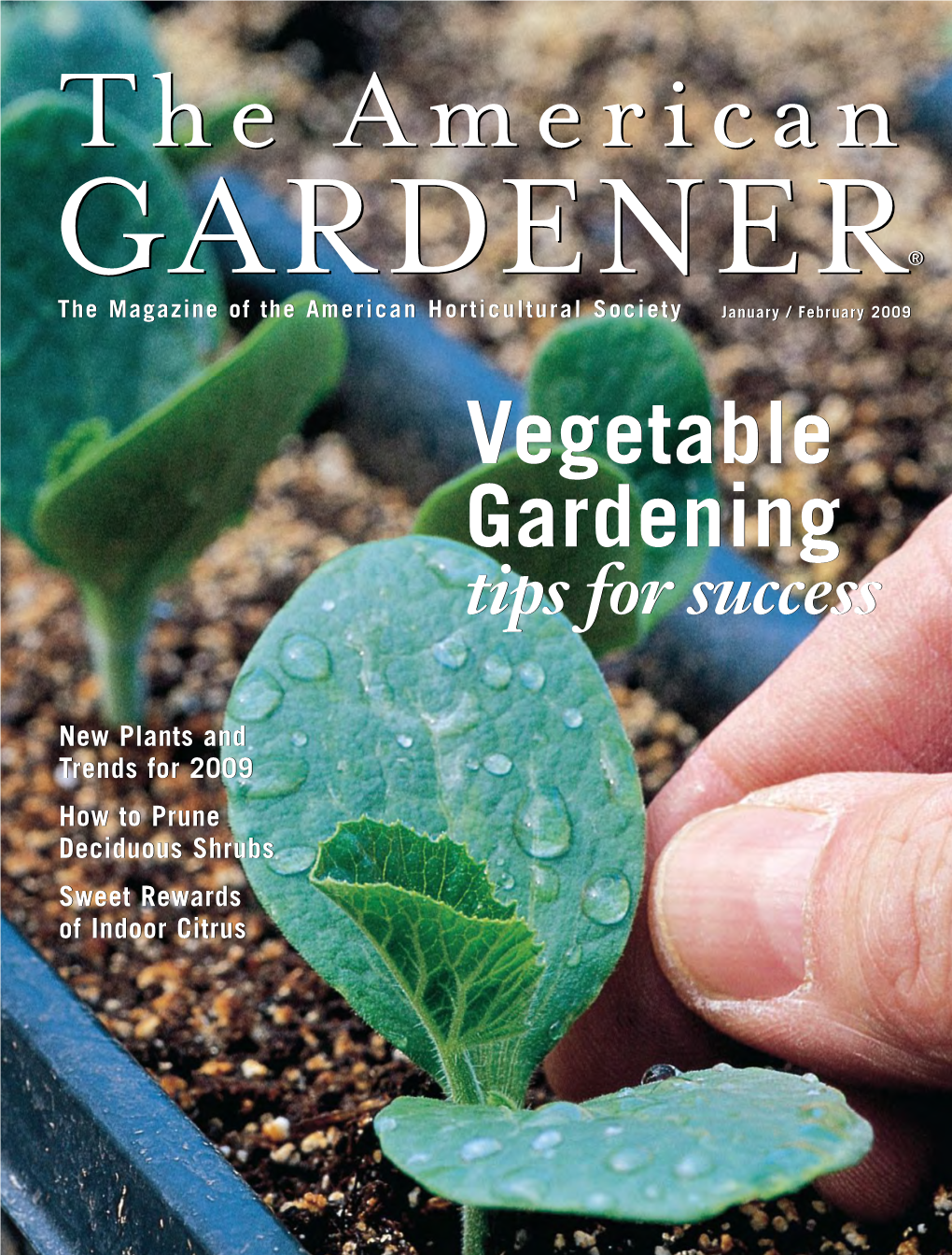 Vegetable Gardening Vegetable Gardening