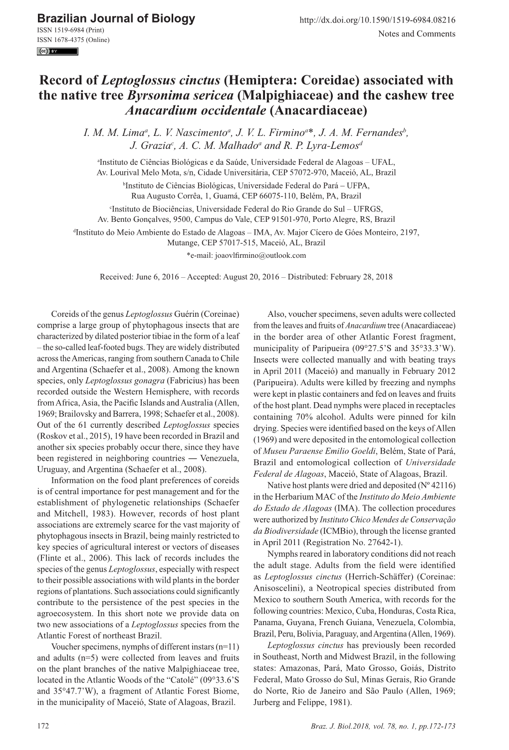 Record of Leptoglossus Cinctus (Hemiptera: Coreidae)