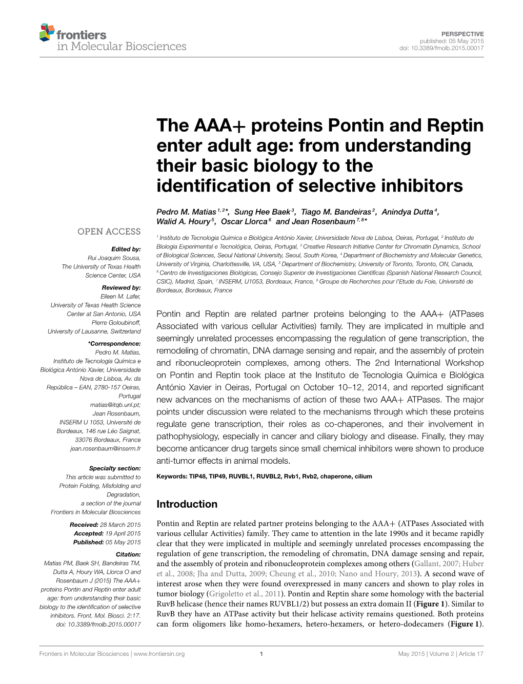 The AAA+ Proteins Pontin and Reptin Enter Adult Age: from Understanding Their Basic Biology to the Identiﬁcation of Selective Inhibitors