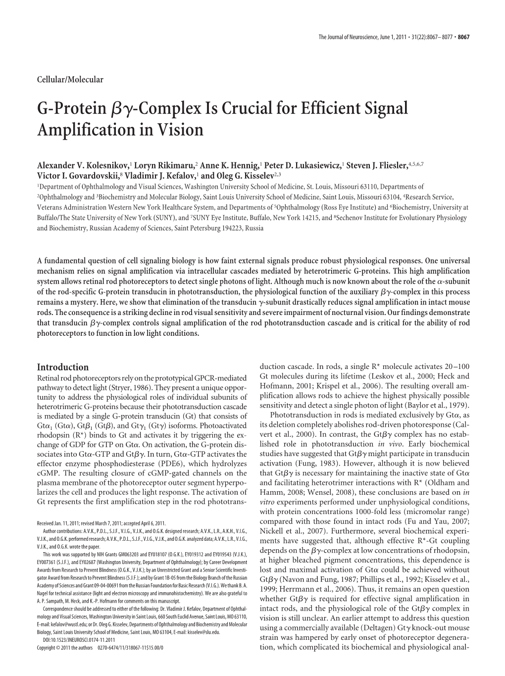 G-Protein ␤␥-Complex Is Crucial for Efficient Signal Amplification in Vision