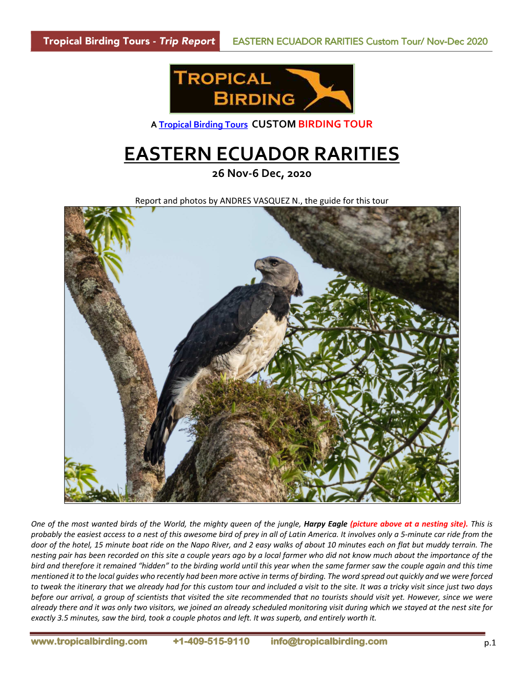 EASTERN ECUADOR RARITIES Custom Tour/ Nov-Dec 2020