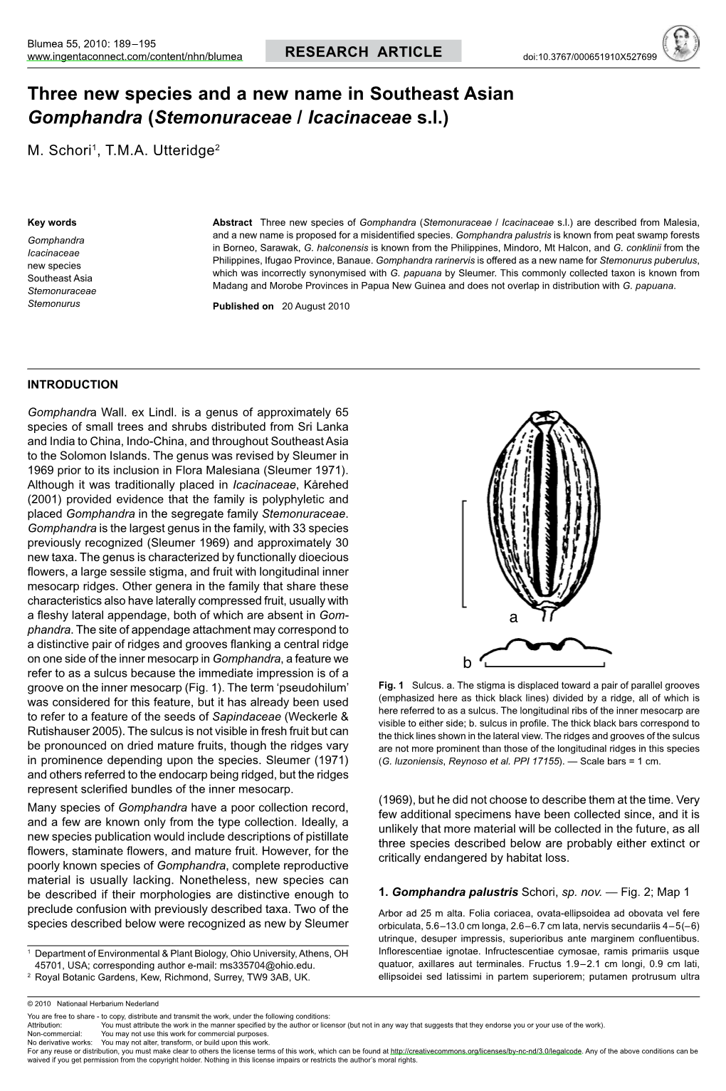 Three New Species and a New Name in Southeast Asian <I>Gomphandra