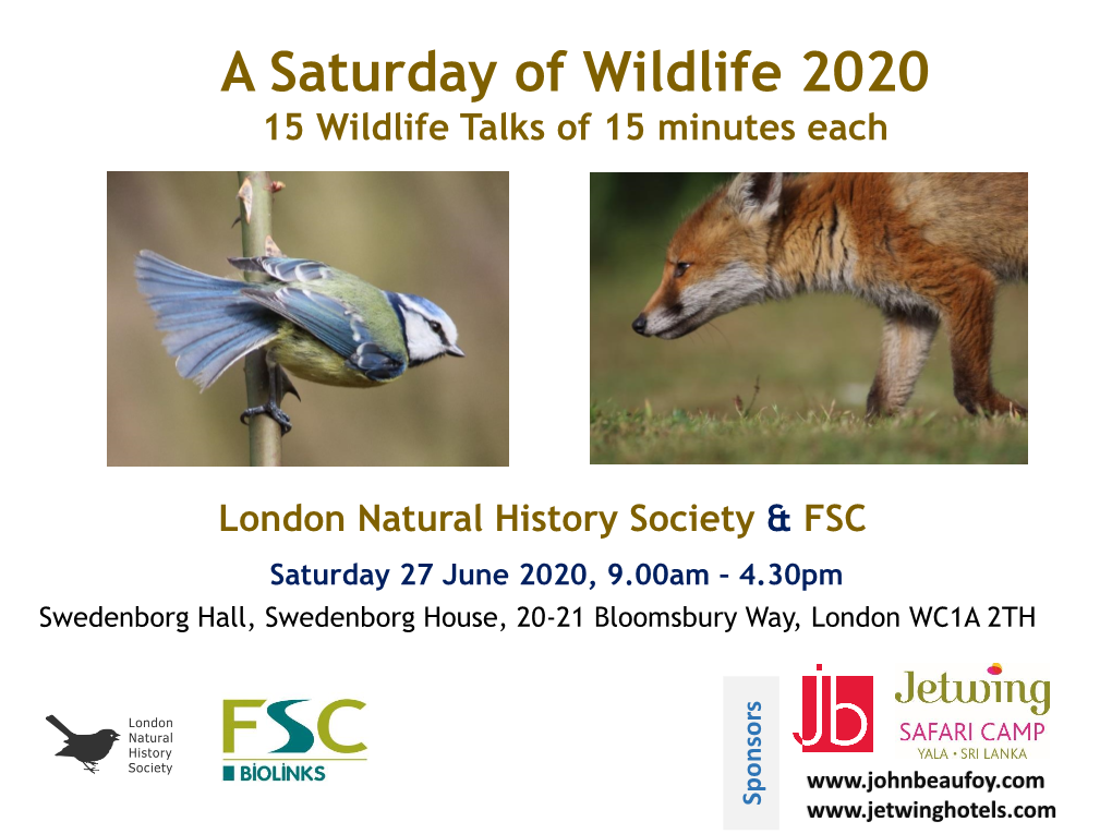 A Saturday of Wildlife 2020 15 Wildlife Talks of 15 Minutes Each