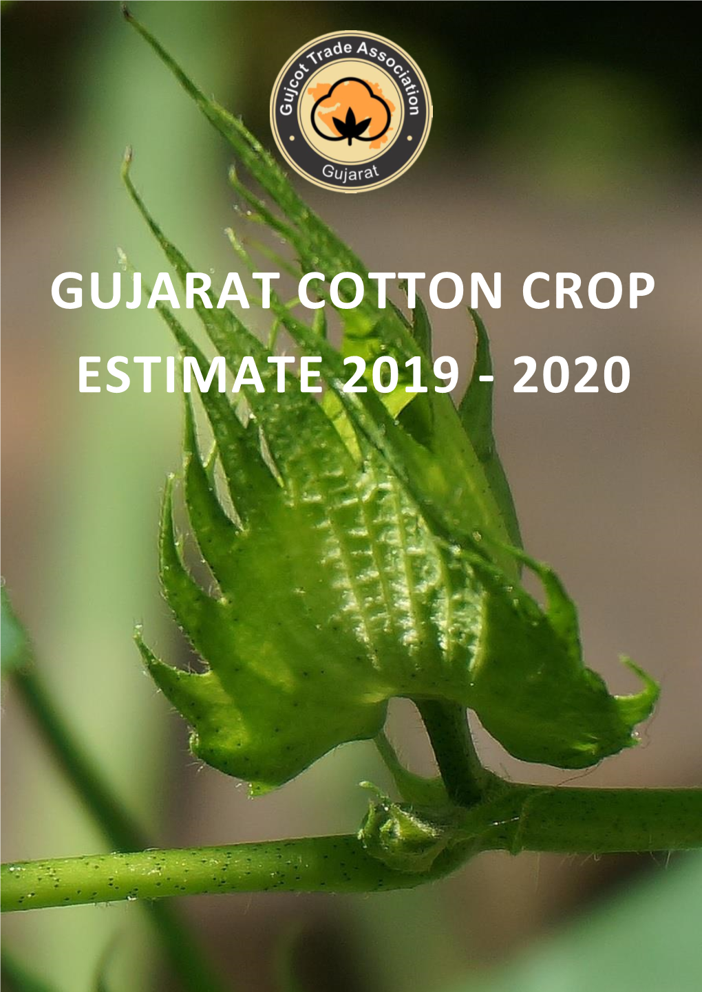 Gujarat Cotton Crop Estimate 2019 - 2020