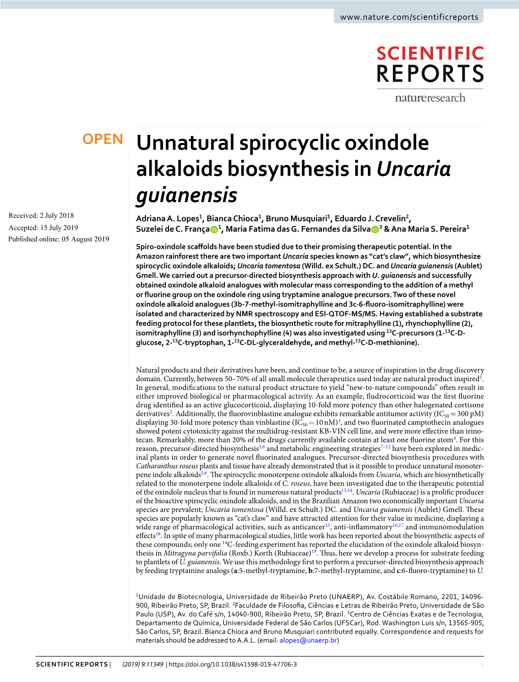 Unnatural Spirocyclic Oxindole Alkaloids Biosynthesis in Uncaria Guianensis Received: 2 July 2018 Adriana A